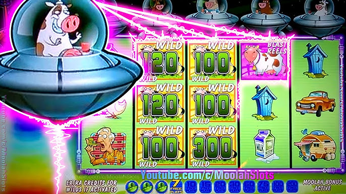 wizard 80 free spins