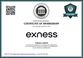 Exness MT4 Download for Mac Your Guide to Trading Excellence