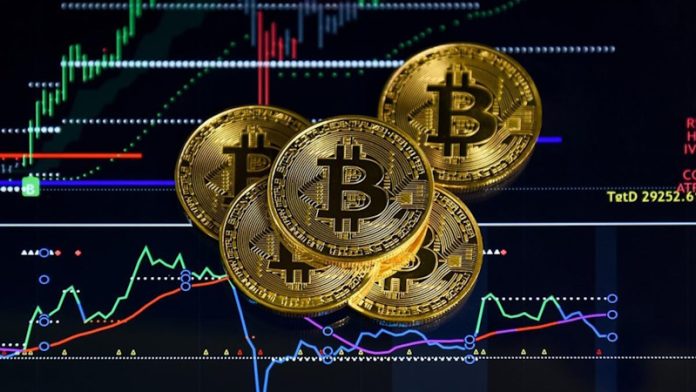 Optimierung der Performance mit Vertex Trize